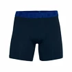 Pánske Boxerky Under Armour Tech Mesh 6" 2 Pack modré Dynamic