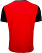 Pánske funkčné tričko Victor 6069 Red