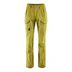 Pánske nohavice Klättermusen  Grimner Pant Meadow Green/Meadow Green XL
