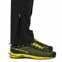 Pánske nohavice Patagonia  Altvia Trail Pants Black