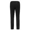 Pánske nohavice Salewa  Agner Orval 3 DST M Reg Pants