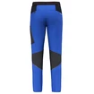 Pánske nohavice Salewa  Pedroc 2 DST M Light Pants Electric