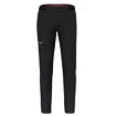 Pánske nohavice Salewa  Pedroc 4 DST M Reg Pants