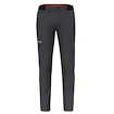 Pánske nohavice Salewa  Pedroc 4 DST M Reg Pants  L