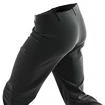 Pánske nohavice Salomon  M Wayfarer Pants Black