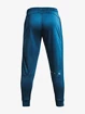 Pánske nohavice Under Armour