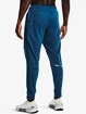 Pánske nohavice Under Armour