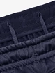 Pánske nohavice Under Armour