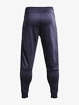 Pánske nohavice Under Armour