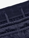 Pánske nohavice Under Armour
