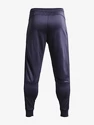 Pánske nohavice Under Armour