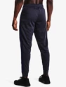 Pánske nohavice Under Armour