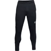 Pánske nohavice Under Armour