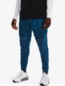 Pánske nohavice Under Armour