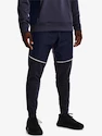 Pánske nohavice Under Armour