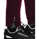 Pánske nohavice Under Armour  Terry Pant Red