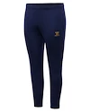 Pánske nohavice Warrior Aurum Travel Pant Navy