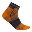 Pánske ponožky Icebreaker Merino Run+ Ultralight Mini Ray/Graphite  L