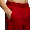 Pánske šortky adidas