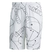 Pánske šortky adidas  Club Graphic Short White