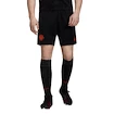 Pánske šortky adidas Manchester United FC alternatívne 19/20