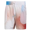 Pánske šortky adidas  Melbourne Ergo Printed Shorts White/Red