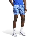 Pánske šortky adidas  Melbourne Ergo Tennis Graphic Shorts Blue