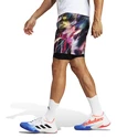 Pánske šortky adidas  Melbourne Ergo Tennis Graphic Shorts Multicolor/Black