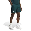 Pánske šortky adidas  Tennis Climacool Ergo Shorts Aurora Ivy
