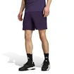 Pánske šortky adidas  Tennis Climacool Ergo Shorts Purple