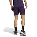 Pánske šortky adidas  Tennis Climacool Ergo Shorts Purple