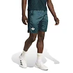 Pánske šortky adidas  Tennis Pro Climacool Ergo Shorts Aurora Ivy