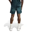 Pánske šortky adidas  Tennis Pro Climacool Ergo Shorts Aurora Ivy