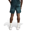 Pánske šortky adidas  Tennis Pro Climacool Ergo Shorts Aurora Ivy