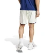 Pánske šortky adidas  Tennis Pro Climacool Ergo Shorts White