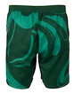 Pánske šortky Fila  Shorts Leo Aventurine/Print