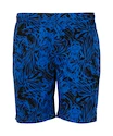 Pánske šortky FZ Forza  Luton M Shorts Olympian Blue XL