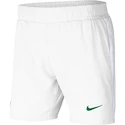 Pánske šortky Nike