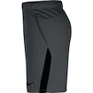 Pánske šortky Nike  Dri-FIT