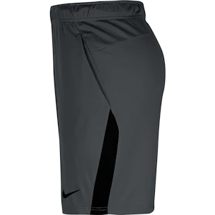Pánske šortky Nike  Dri-FIT
