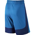 Pánske šortky Nike Dry Training Blue