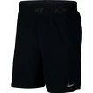 Pánske šortky Nike Flex Vent Max 2.0 čierne