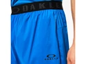 Pánske šortky Oakley  COMPRESSION SHORT 9 2.0