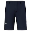 Pánske šortky Salewa  Agner DST M Shorts  L