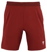 Pánske šortky Tecnifibre  Club Short Cardinal