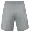 Pánske šortky Tecnifibre  Club Short Silver