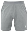 Pánske šortky Tecnifibre  Club Short Silver