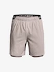 Pánske šortky Under Armour