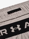 Pánske šortky Under Armour