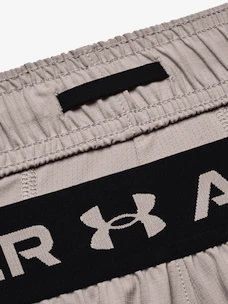 Pánske šortky Under Armour